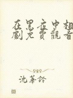 在黑夜中相拥短剧免费观看