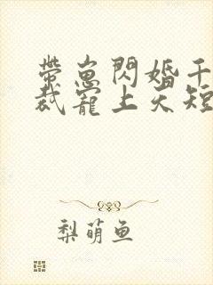 带崽闪婚千亿总裁宠上天短剧免费观看