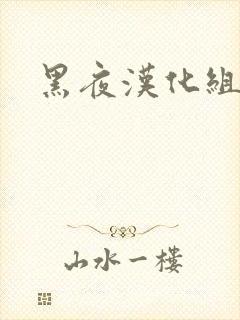 黑夜汉化组