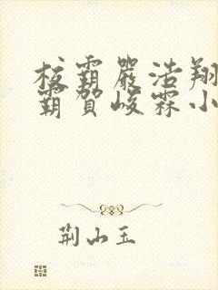 校霸严浩翔亲学霸贺峻霖小说