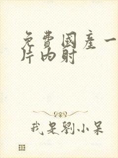 免费国产一级—片内射封面