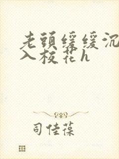 老头缓缓沉腰进入校花h