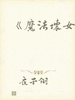 《魔法坏女巫》封面