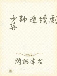 少帅连续剧48集