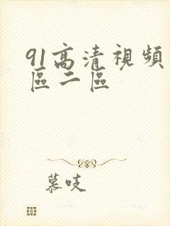 91高清视频一区二区