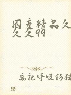 国产精品久久久久久99