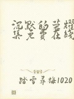 沉默的荣耀40集免费在线观看