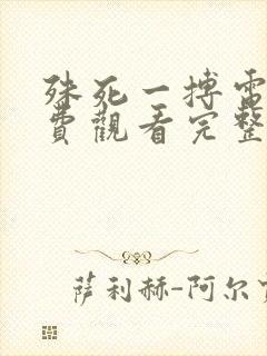 殊死一搏电影免费观看完整版高清封面