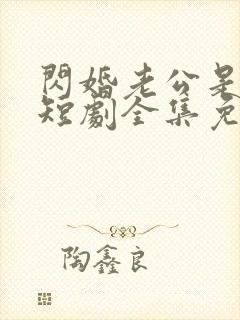 闪婚老公是豪门短剧全集免费观看