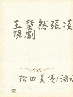 王楚然张凌赫电视剧封面