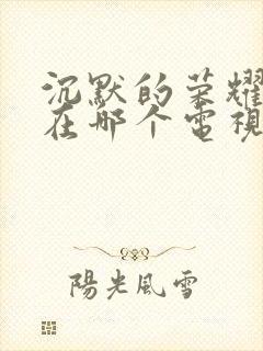 沉默的荣耀目前在哪个电视台播放?