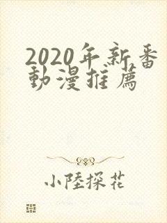 2020年新番动漫推荐