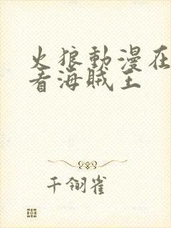 火狼动漫在线观看海贼王