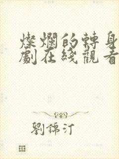 灿烂的转身电视剧在线观看免费完整版