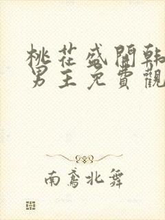 桃花盛开韩剧双男主免费观看