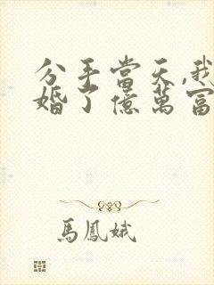 分手当天,我闪婚了亿万富豪全集小说