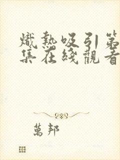 炽热吸引第十三集在线观看