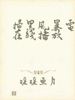 扫黑风暴电视剧在线播放封面