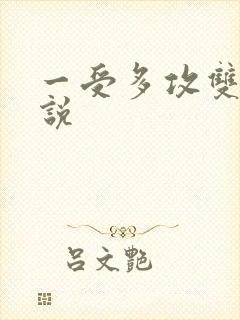 一受多攻双性小说封面