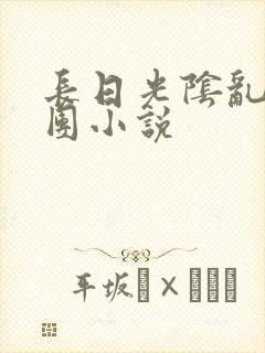 长日光阴乱作一团小说