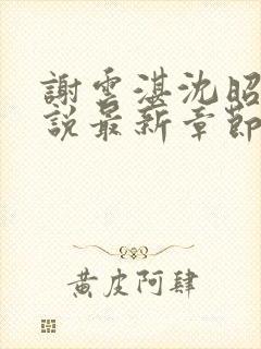 谢云湛沈昭月小说最新章节