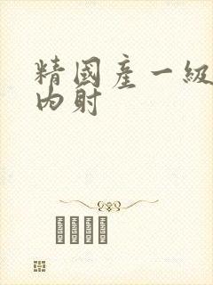 精国产一级r片内射