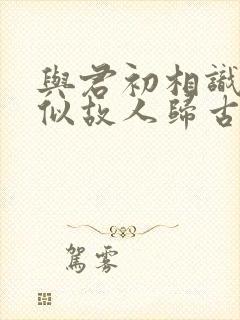 与君初相识,恰似故人归古诗