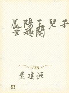 凤阳王儿子林云笔趣阁