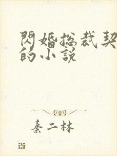 闪婚总裁契约妻的小说