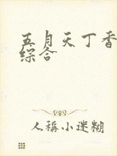 五月天丁香婷婷综合