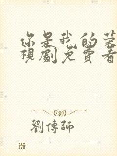 你是我的荣耀电视剧免费看完整