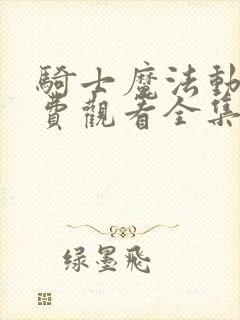 骑士魔法动漫免费观看全集