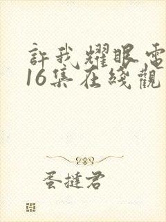 许我耀眼电视剧16集在线观看免费封面