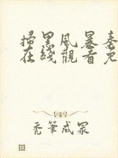 扫黑风暴秦昊版在线观看免费完整版