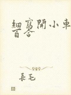 细写开小车车的百合封面