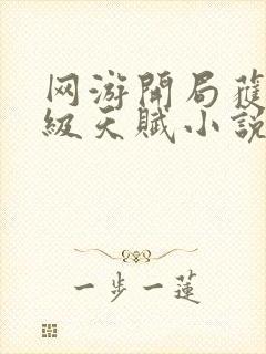 网游开局获得神级天赋小说txt下载