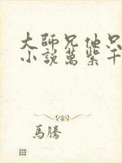 大师兄他只想逃小说万紫千红