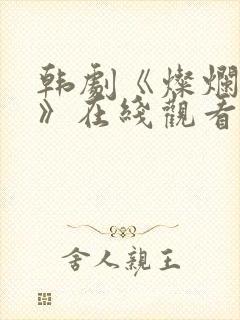 韩剧《灿烂的她》在线观看封面