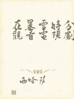 在暴雪时分免费观看电视剧国产剧