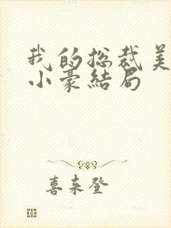 我的总裁美母林小豪结局