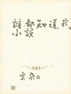 谁都知道我爱你小说