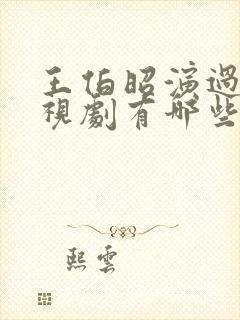 王伯昭演过的电视剧有哪些封面