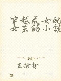 穿越成女配攻略女主的小说