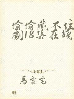 偷偷藏不住广播剧18集在线收听免费