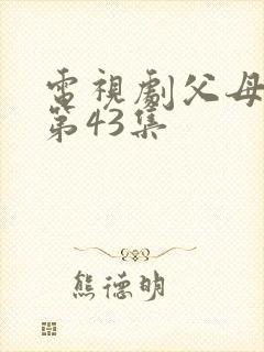 电视剧父母爱情第43集