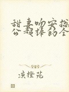 甜妻吻安总裁老公超棒的全文免费