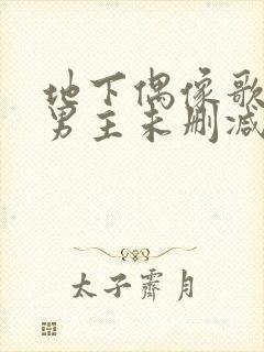 地下偶像歌手双男主未删减动漫