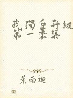 我独自升级动漫第一季集