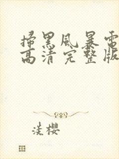 扫黑风暴电视剧高清完整版免费观看