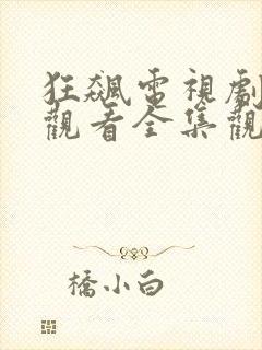 狂飙电视剧免费观看全集观看